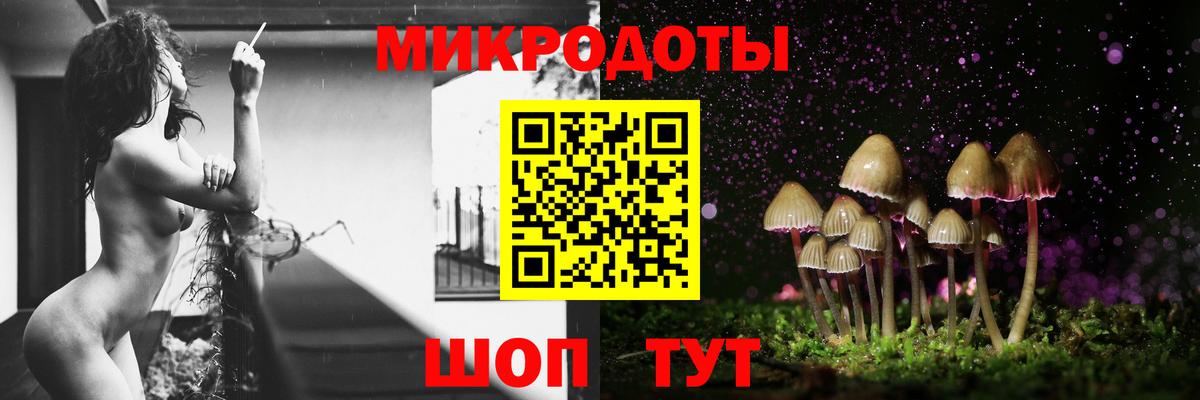 Галлюциногенные грибы Cubensis  Вход с VPN  Галлюциногенные грибы Psilocybe  Будённовск 